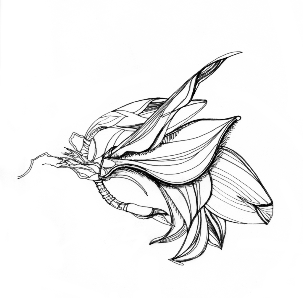 pen and ink drawing twentyeight