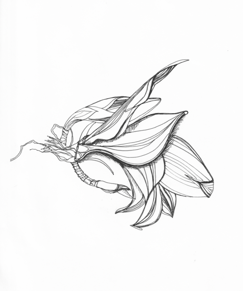 illustration28thjuly2018